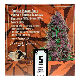 Purple Mazar AutoFem