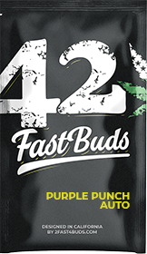 Purple Punch AutoFem