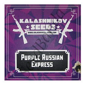 Purple Russian Express Fem