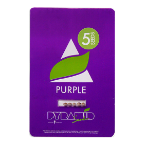Purple Fem