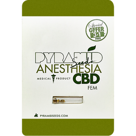 Anesthesia CBD Fem