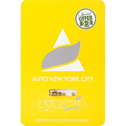 New York City AutoFem