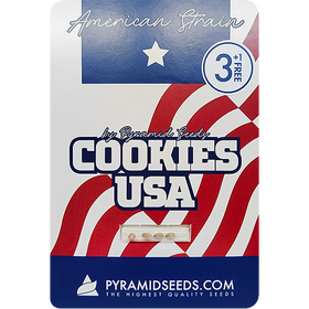 Cookies USA Fem