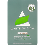 White Widow Fem