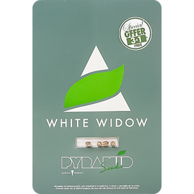 White Widow Fem