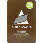 Ramses AutoFem