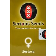 Seriosa Fem