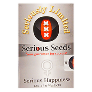 Serious Happiness Fem