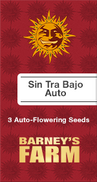 Sin Tra Bajo AutoFem