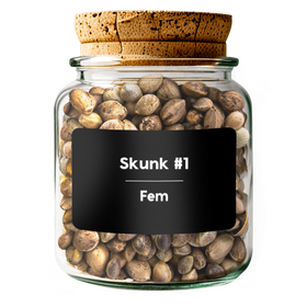 SKUNK #1 Fem