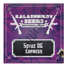 Soxyus OG Express Fem