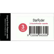 StarRyder AutoFem