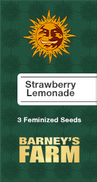 Strawberry Lemonade Fem