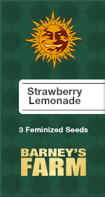 Strawberry Lemonade Fem