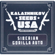 Siberian Gorilla AutoFem