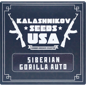 Siberian Gorilla AutoFem