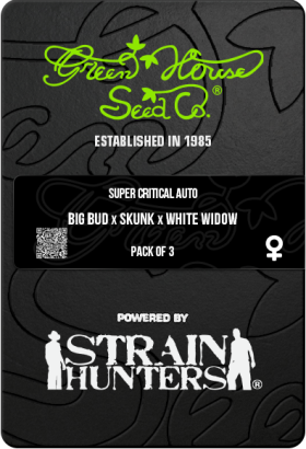 Super Critical AutoFem