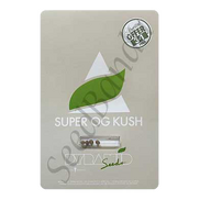 Super OG Kush Fem