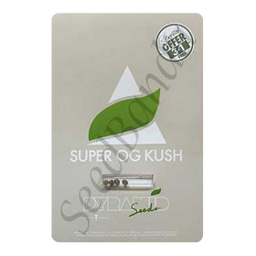 Super OG Kush Fem
