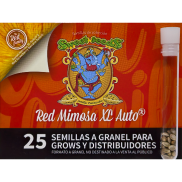 Red Mimosa XL AutoFem
