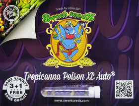 Tropicanna Poison XL Auto