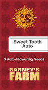 Sweet Tooth AutoFem