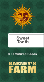 Sweet Tooth Fem