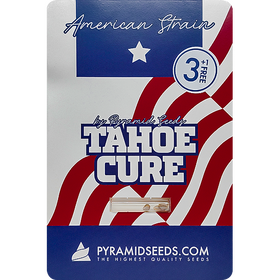 Tahoe Cure Fem