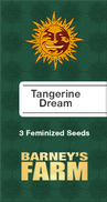 Tangerine Dream Fem