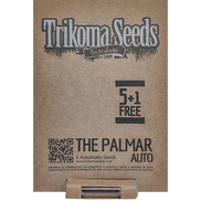 The Palmar AutoFem