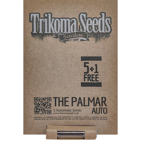 The Palmar AutoFem