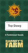 Top Dawg Fem