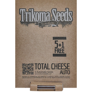 Total Cheese AutoFem