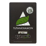 Tutankhamon Fem