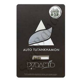 Tutankhamon II AutoFem