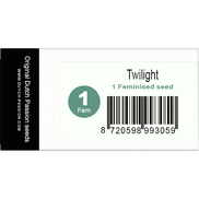 Twilight Fem