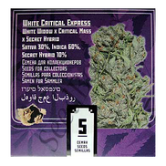 White Critical Express Fem