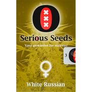 White Russian AutoFem