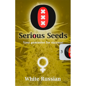 White Russian AutoFem