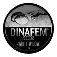 White Widow Fem