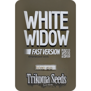 White Widow Fast Version Fem